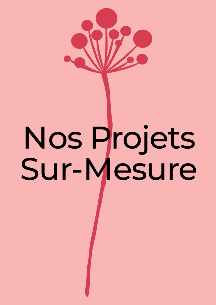 Affiche Spectacle Sur-Mesure